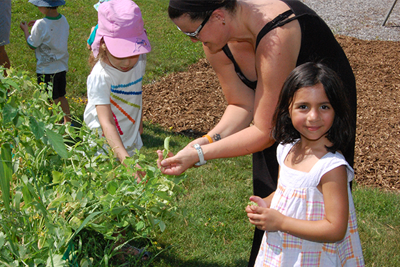 Discovery Garden - with the vegetables